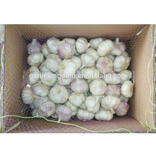 Knoblauch Preis / Jining normalen Knoblauch Preis / Großhandel Knoblauch Preis